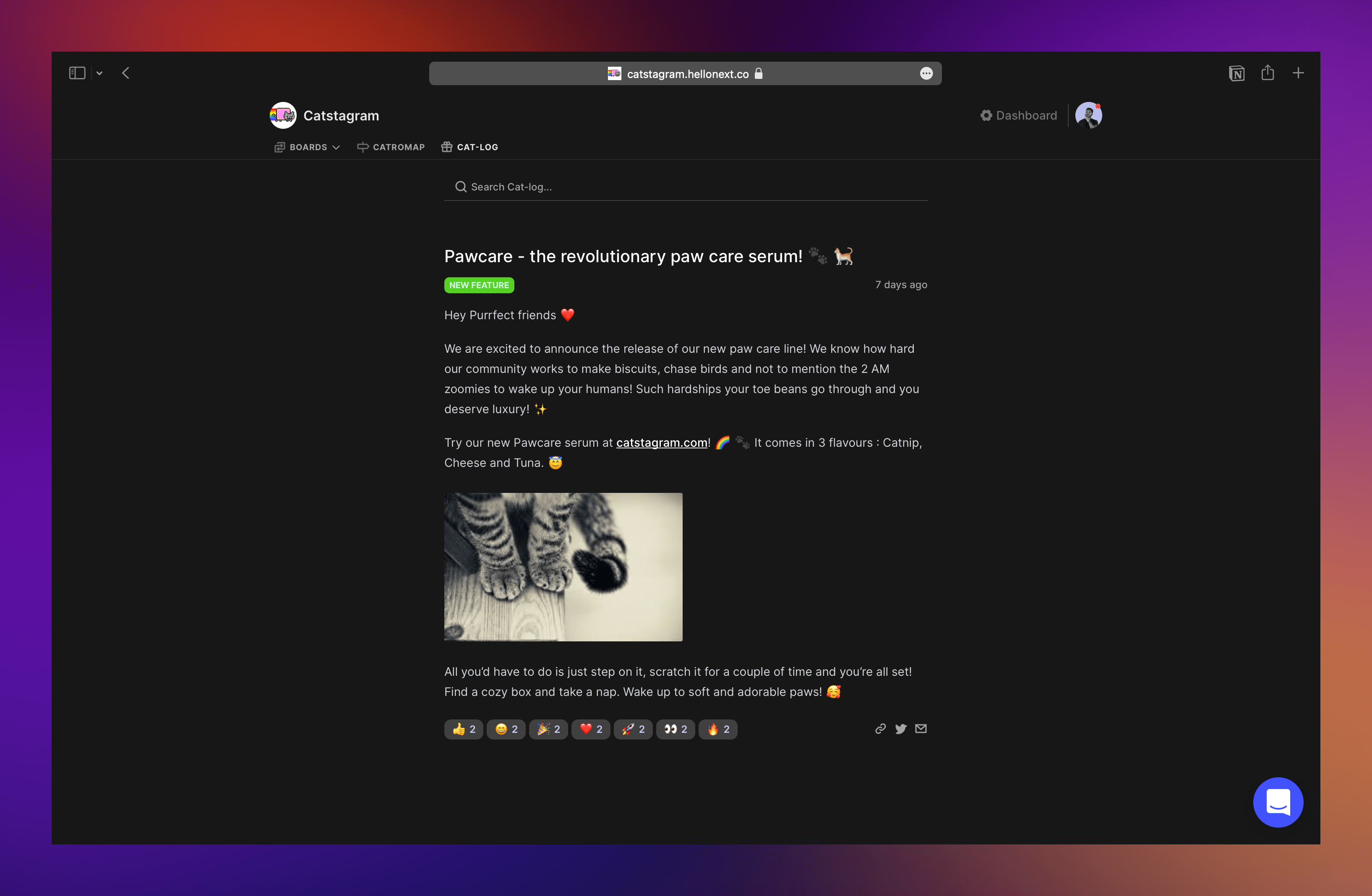Canny.io alternative tool